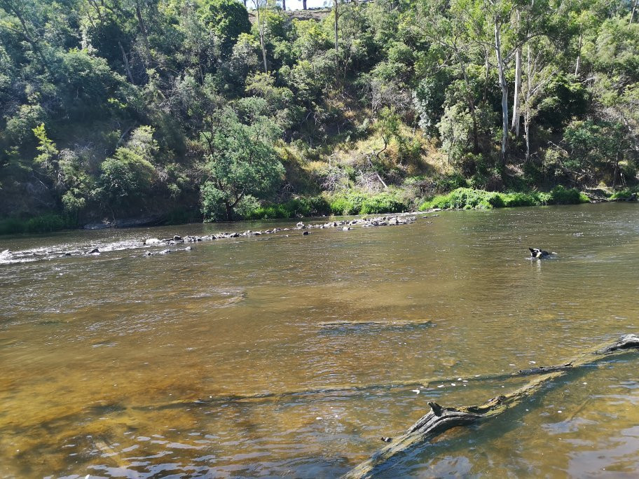 Warrandyte River Reserve景点图片