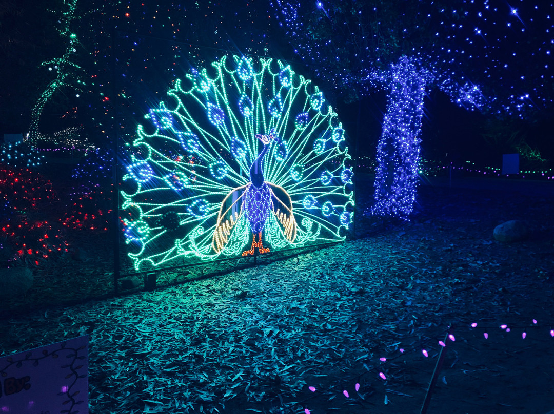 California Living Museum-贝克斯菲尔德必去景点