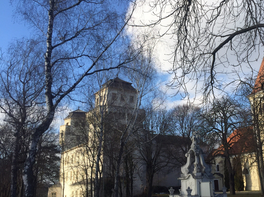 MAMUZ Schloss Asparn/Zaya景点图片