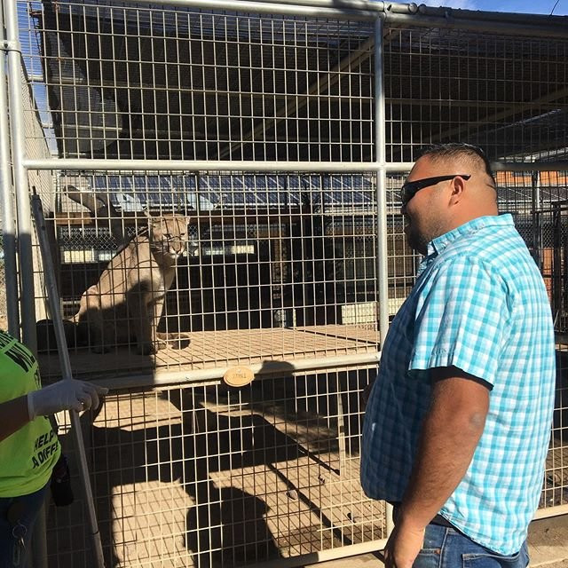 Forever Wild Exotic Animal Sanctuary-Phelan必去景点