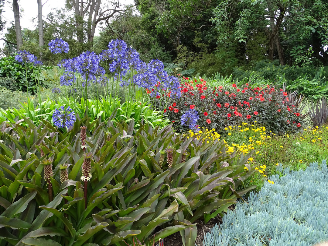 墨尔本皇家植物园景点图片