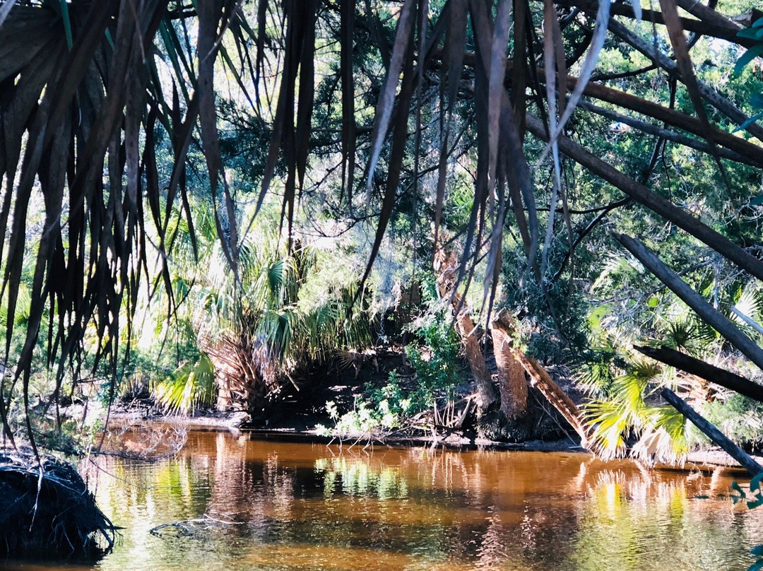 Waterfront Park-棕榈海岸必去景点