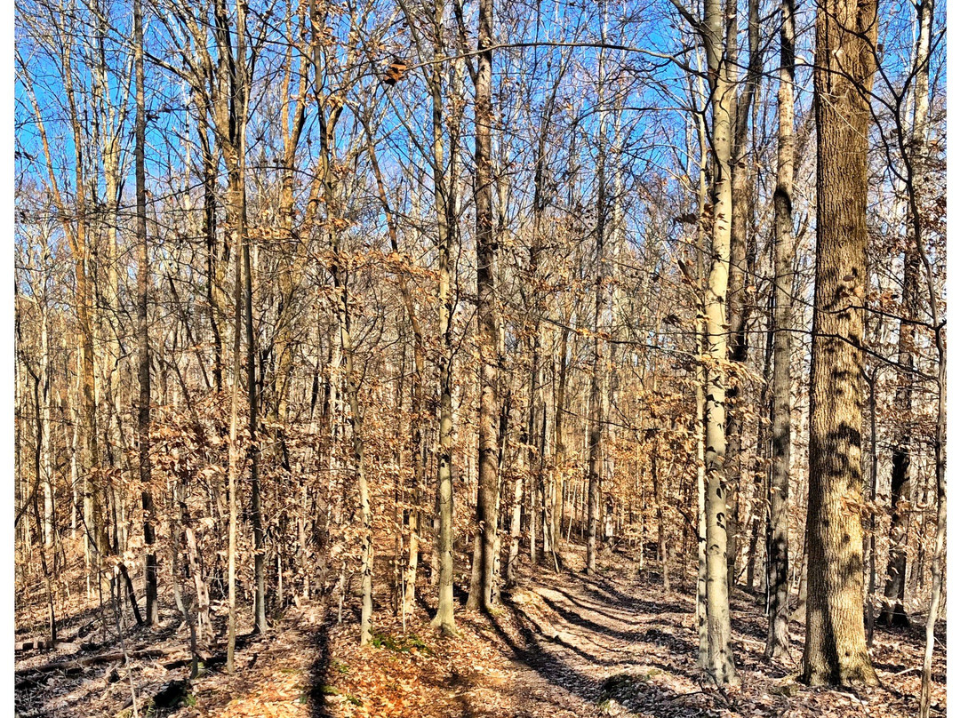 Timberland Park-富兰克林必去景点