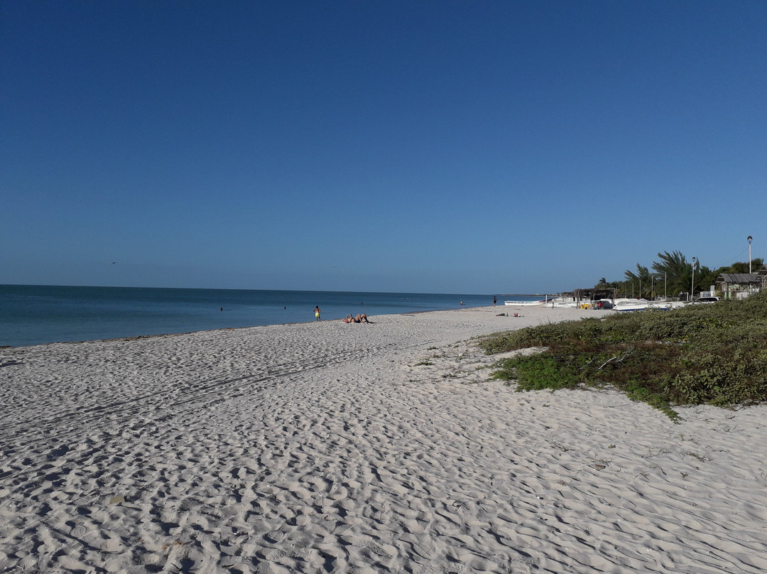 Playa 55 beach escape主图