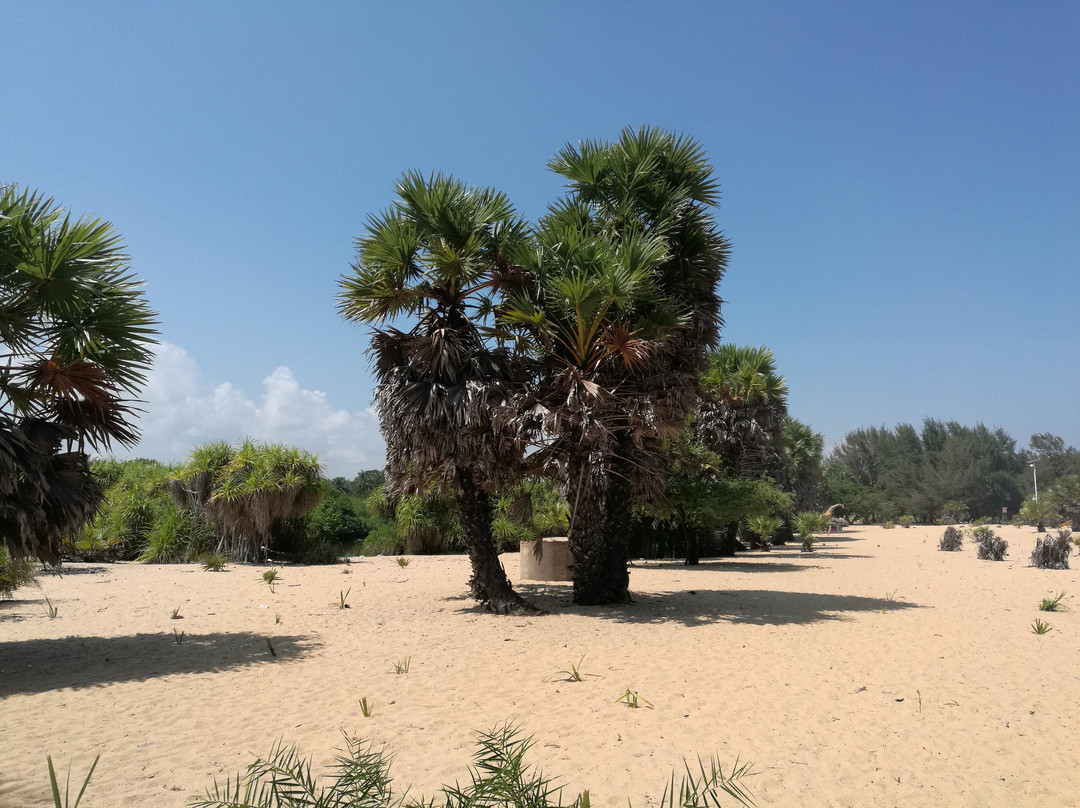 Batticaloa Eco Park-拜蒂克洛必去景点