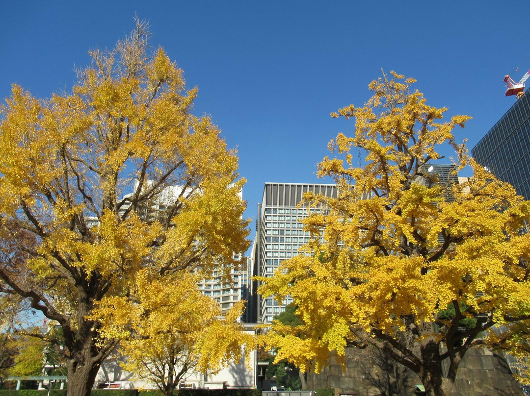 Gyokodori-Marunouchi必去景点