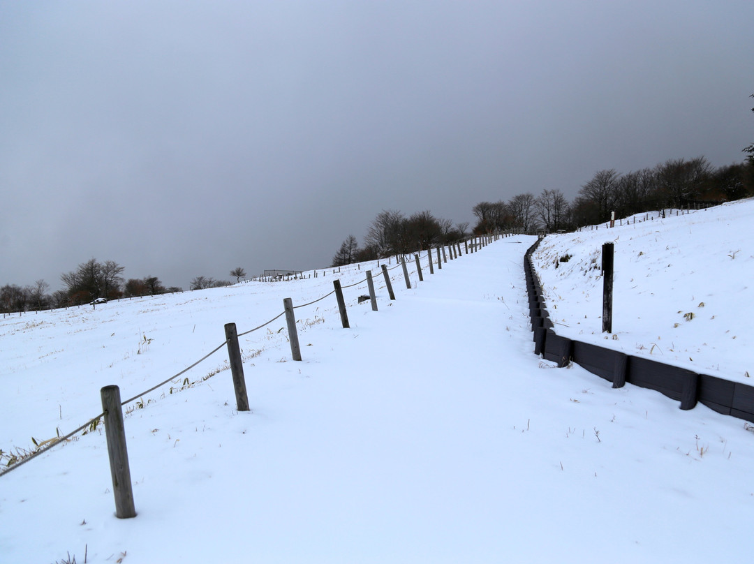 Kirifuri Highlands Kisuge Plain-日光市必去景点