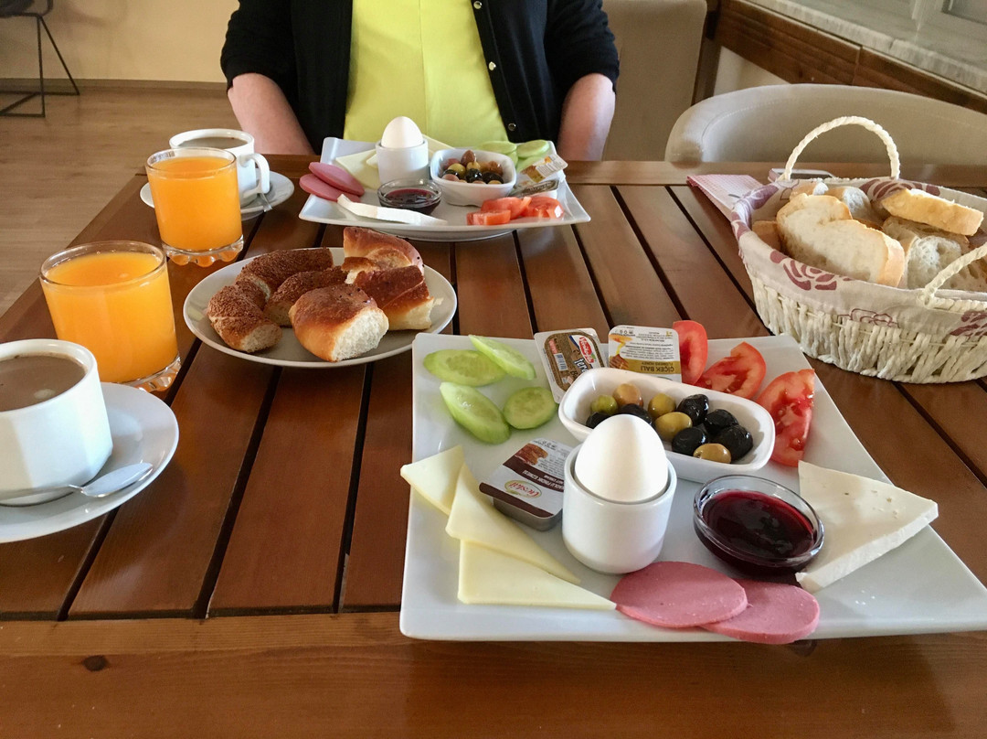 Karacan Park Hotel主图