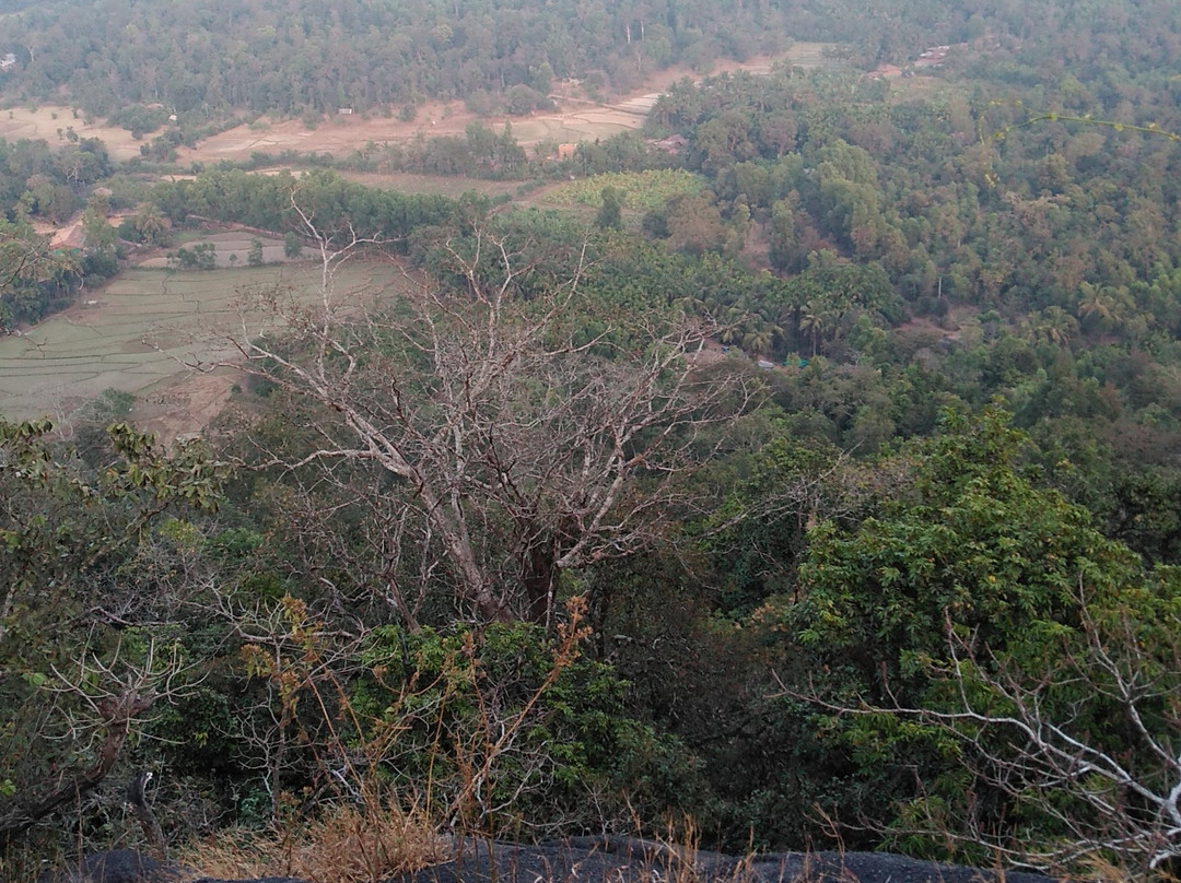 Sathwik Homestay主图