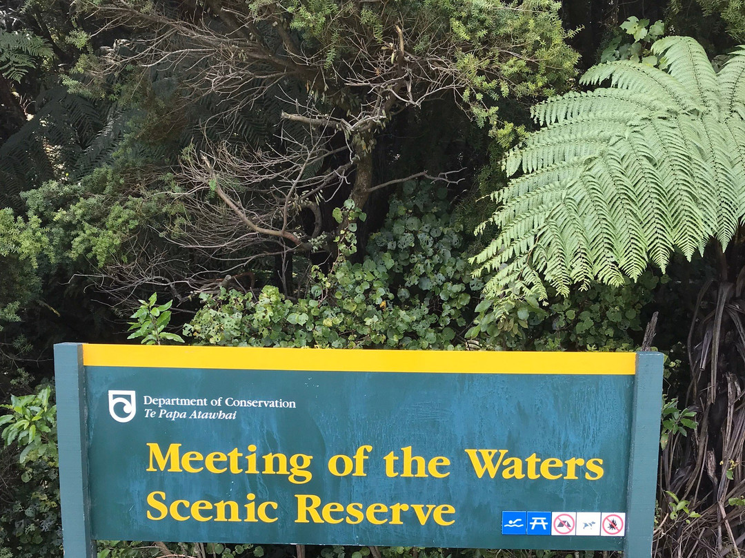 Burgess Park (Meeting of The Waters)-新普利默斯必去景点