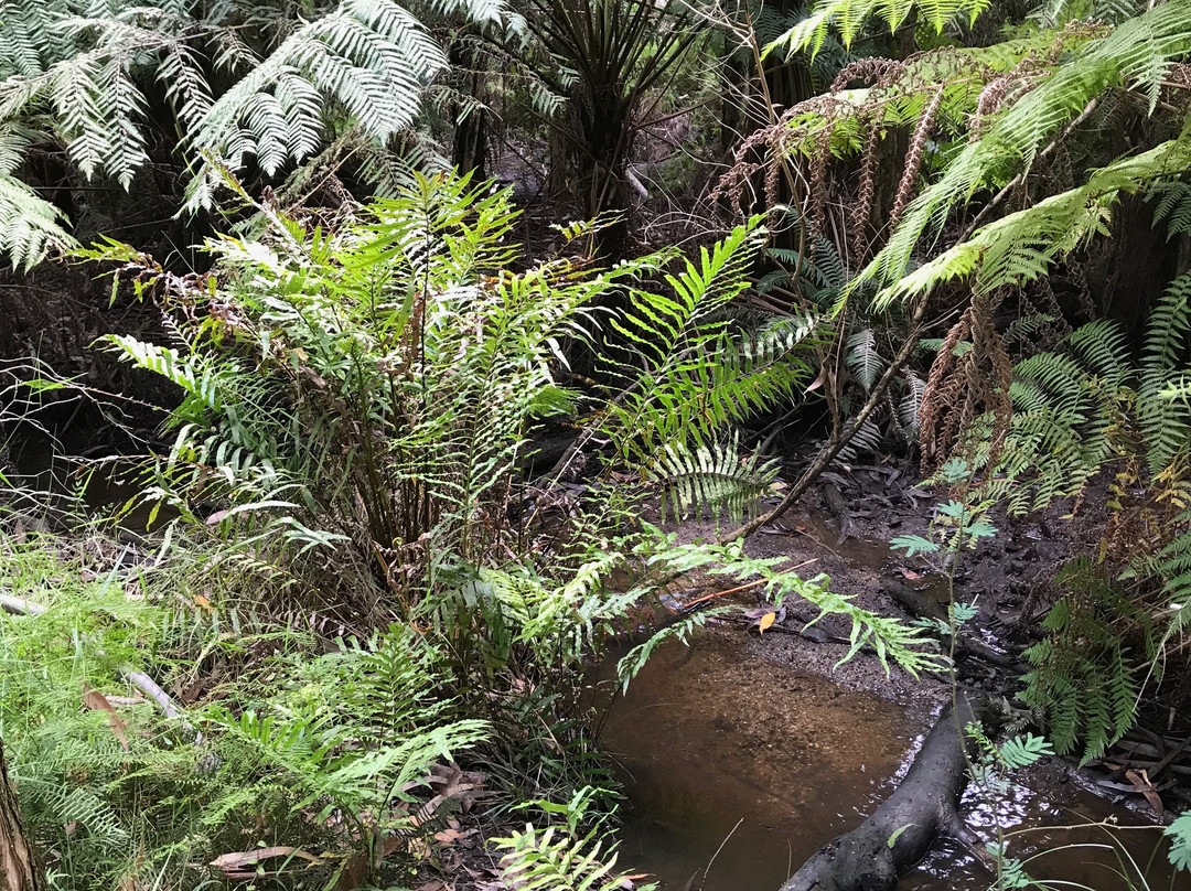 Nangara Reserve-Jindivick必去景点