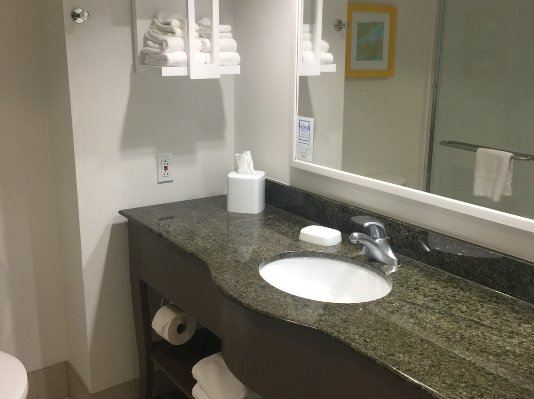 Hampton Inn & Suites Memphis At Beale Street主图