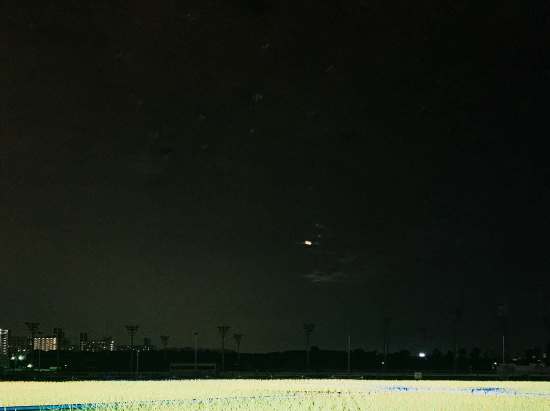 Oi Racecourse-品川区必去景点