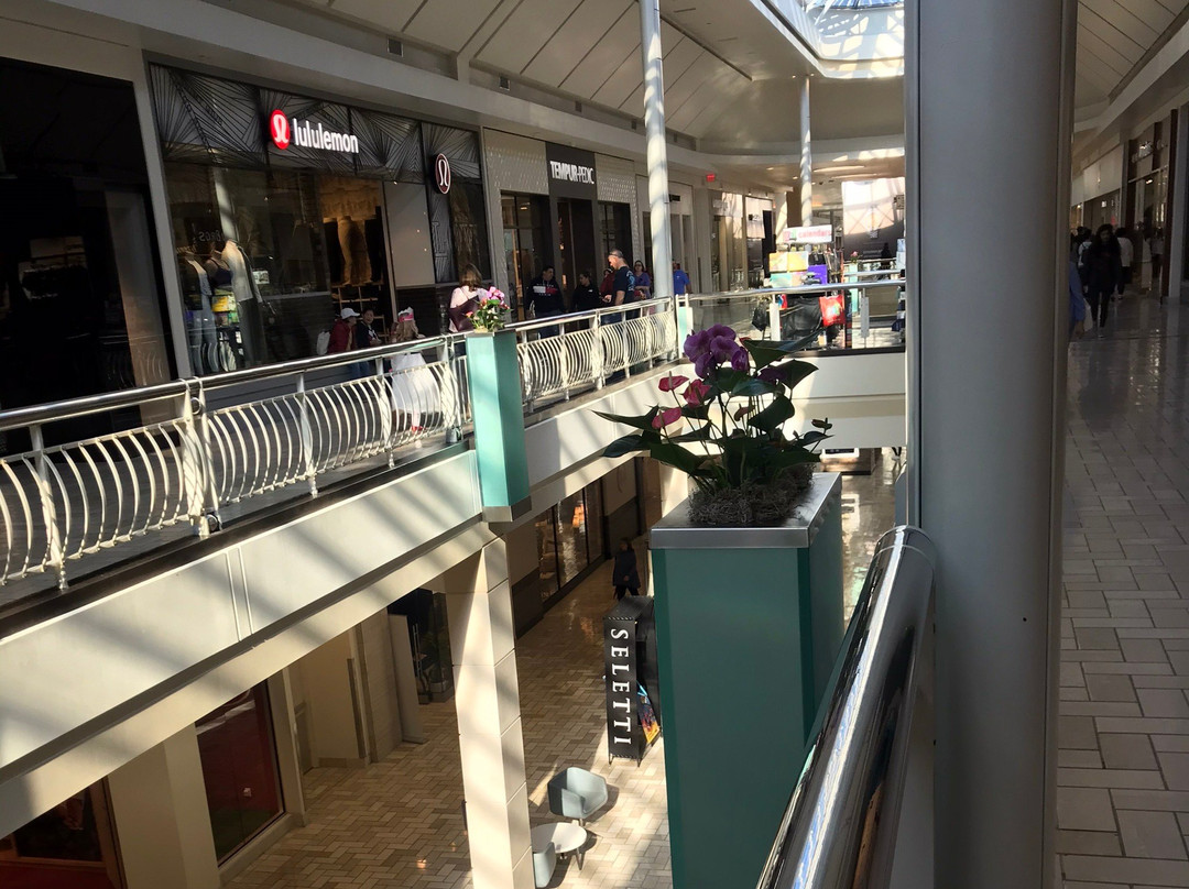 泰森斯角大型购物中心景点图片