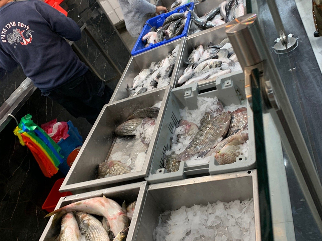 Big-埃拉特必去景点