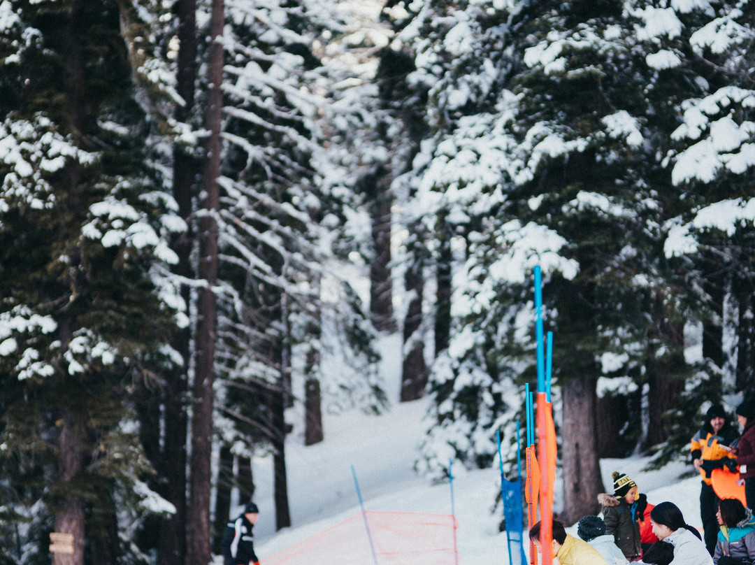 Granlibakken Ski & Sled Hill-塔霍城必去景点