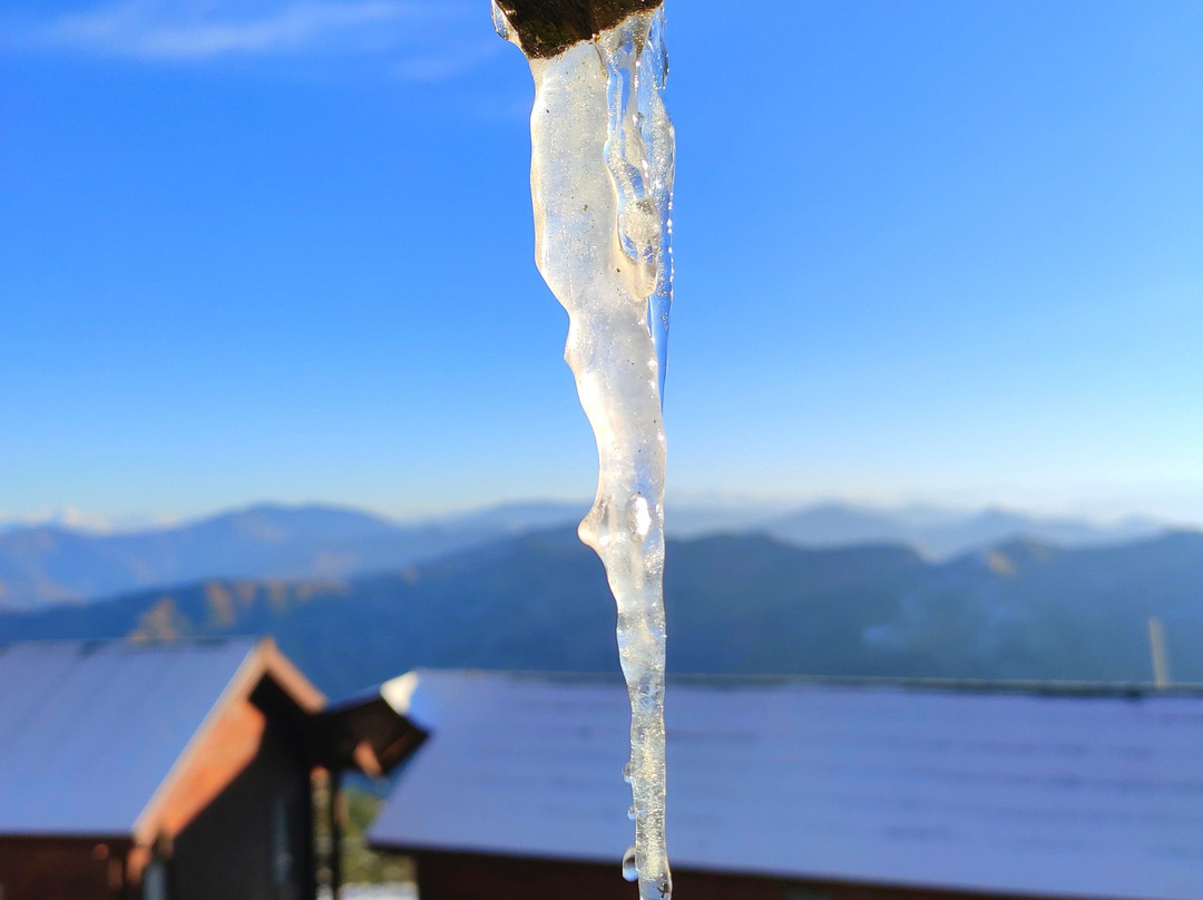 Woodays Resort主图