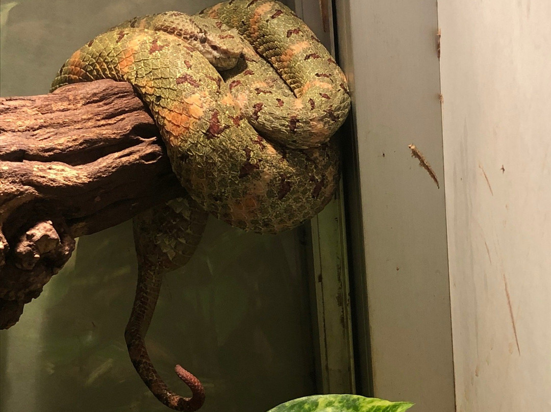 Reptiland-里瓦德尔加尔达必去景点