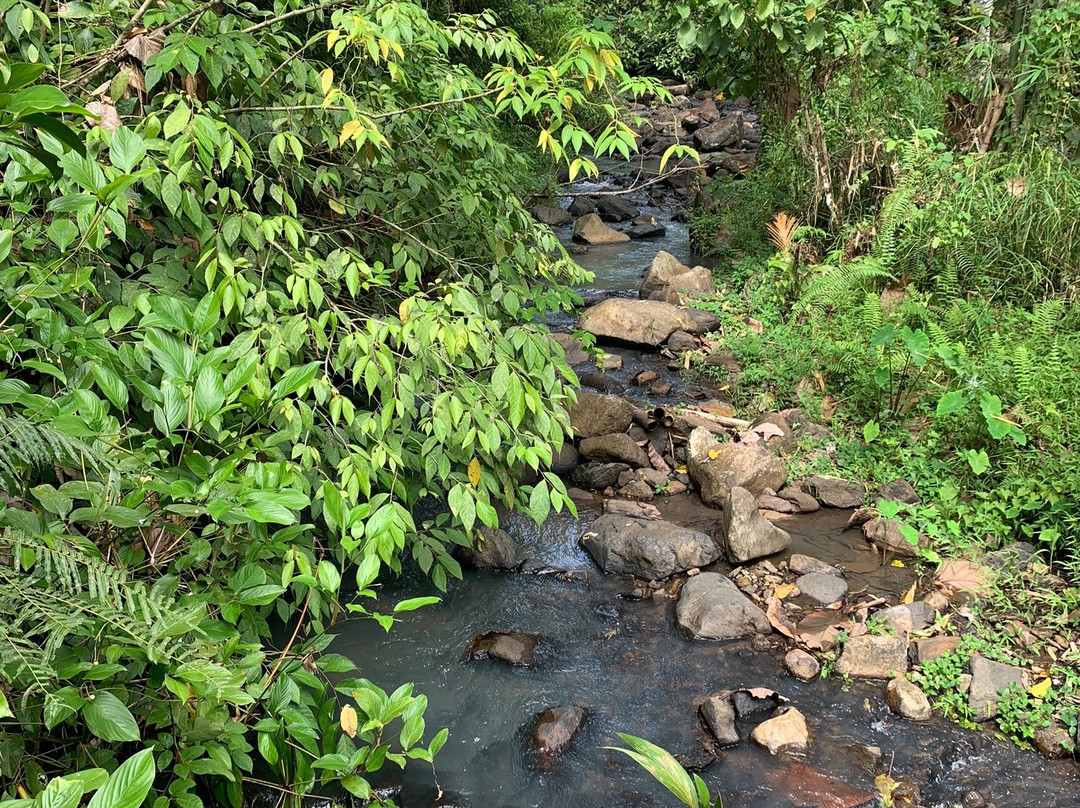 Tunan Waterfall景点图片