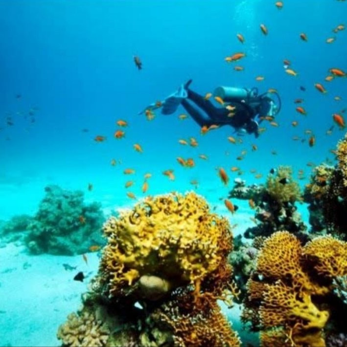 沙贝岛旅游攻略图片