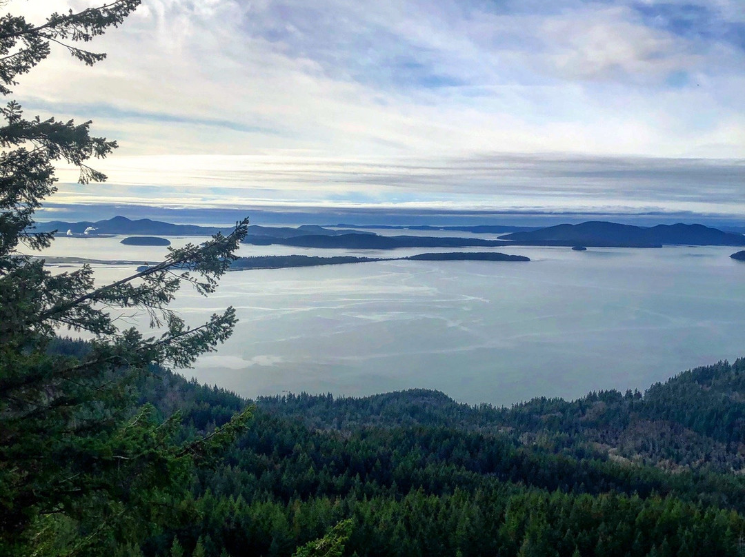 Oyster Dome Trail景点图片