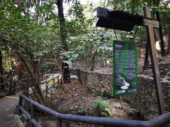 Zoológico Miguel Álvarez del Toro-图斯特拉古铁雷斯必去景点