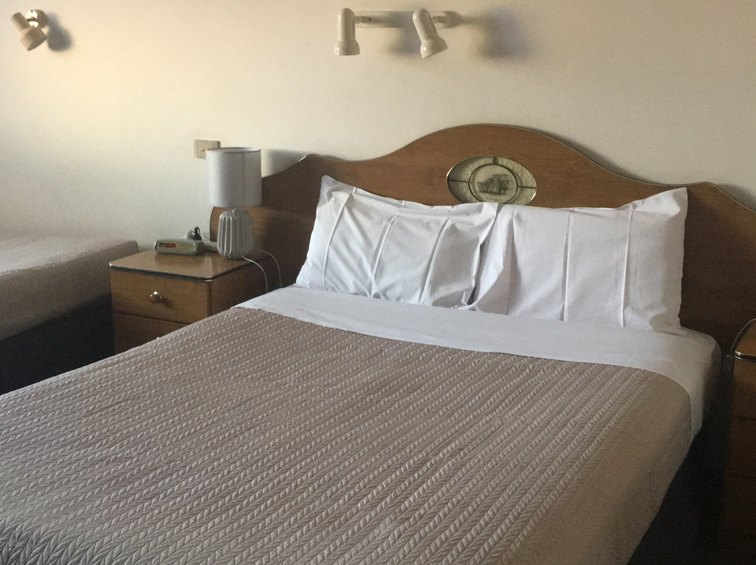 Tudor House Motor Inn主图