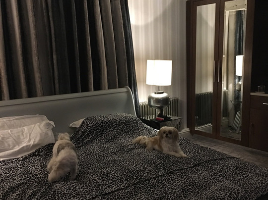 The Pheasant Inn主图