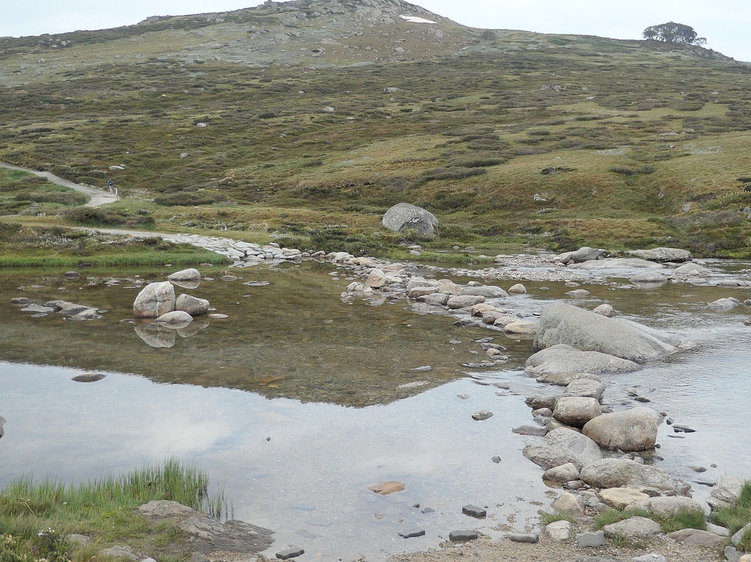 Summit Walk/Main Range Trail景点图片