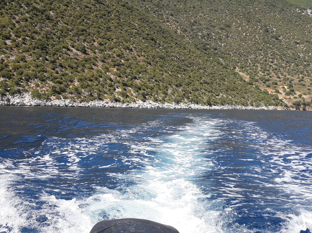 Odyssey Boats - Rent a Boat in Ithaca-Vathy必去景点