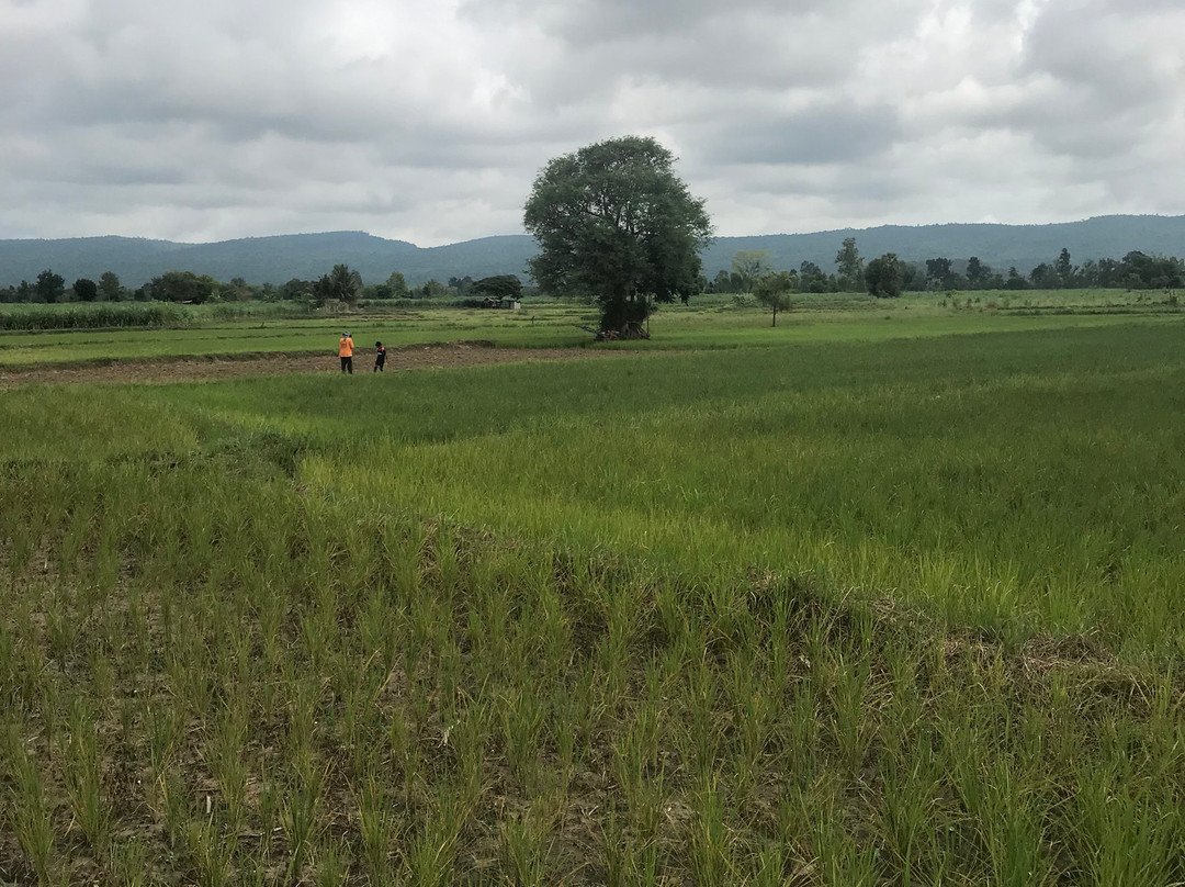 Chao Mae Song Nang Phi Nong Shrine-莫达汉必去景点