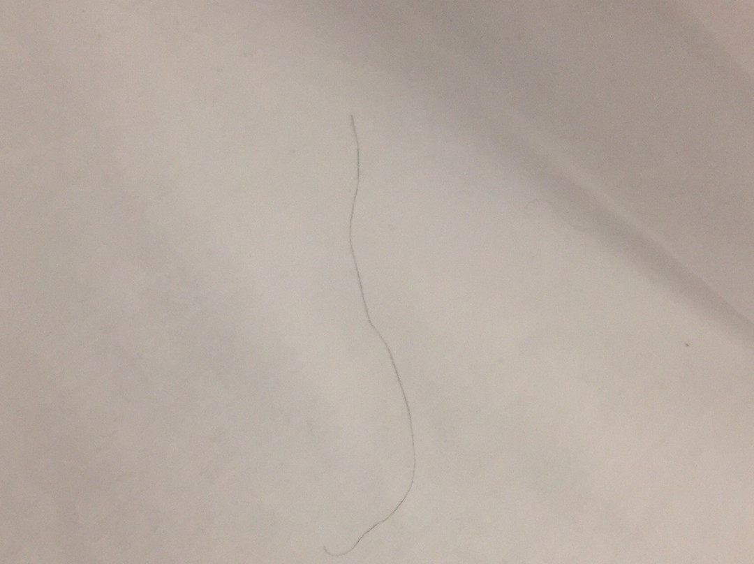 Microtel Inn & Suites by Wyndham Tuscaloosa Near University主图