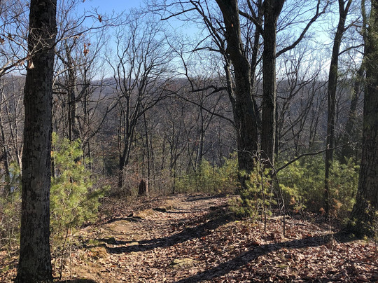 Jefferson Memorial Forest-Fairdale必去景点