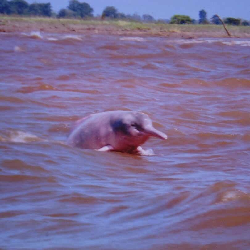 Maica Lake-Santarem必去景点