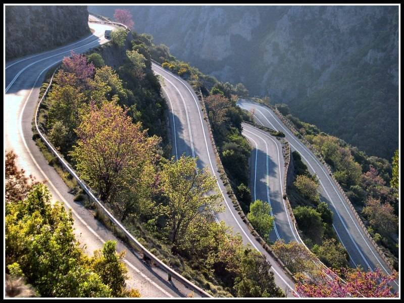 Artemisia旅游攻略图片