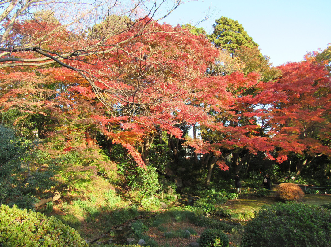 Odawara Kokian景点图片