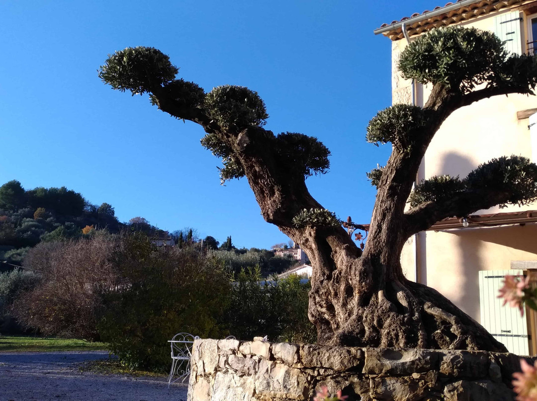 L'Escale Provençale主图