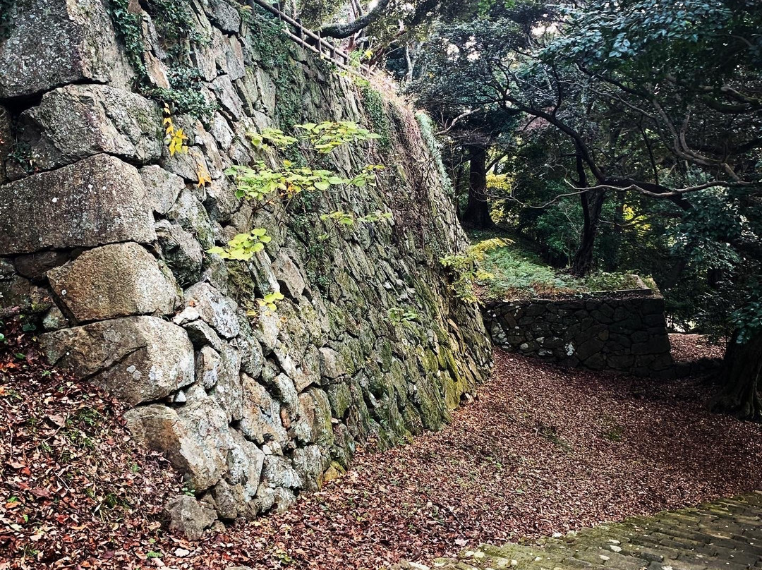 Hamada Castle Ruins-滨田市必去景点