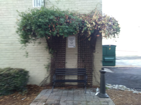 教堂山/卡尔伯罗欢朋酒店及套房主图