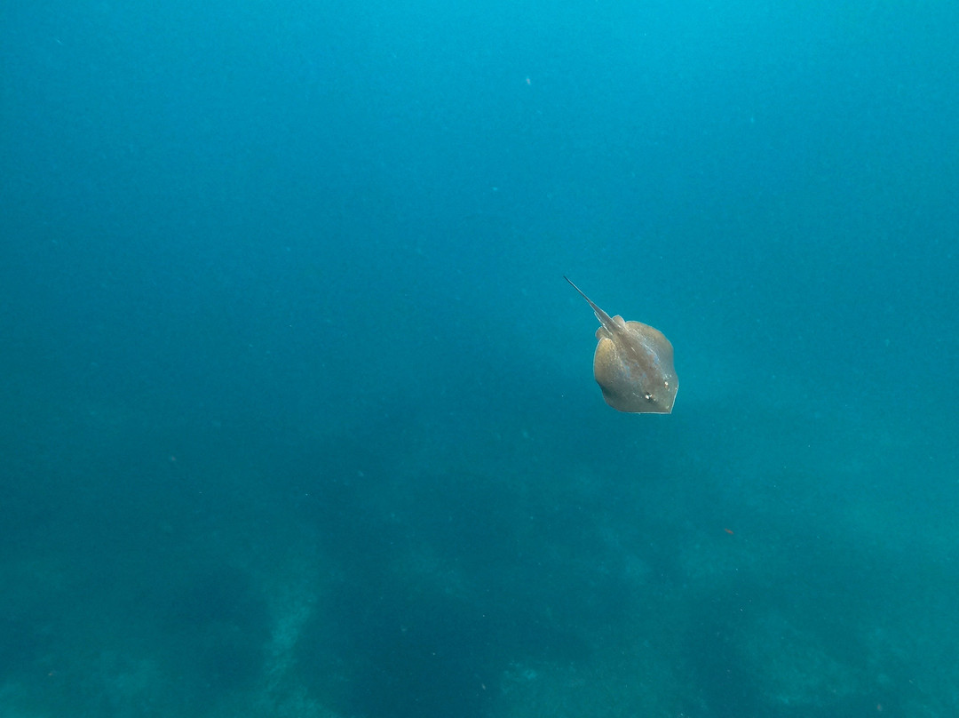 Wetu Safaris-Umkomaas必去景点