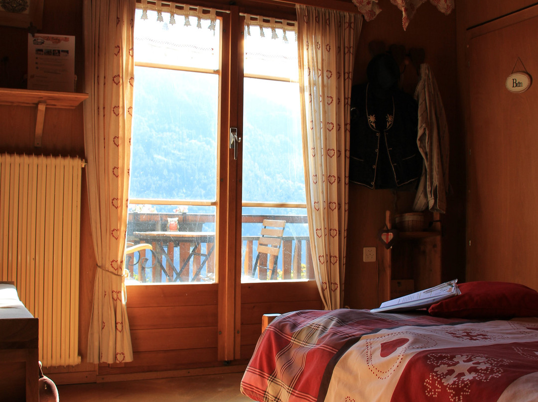 Chambres d'hotes Chalet Le Rucher主图