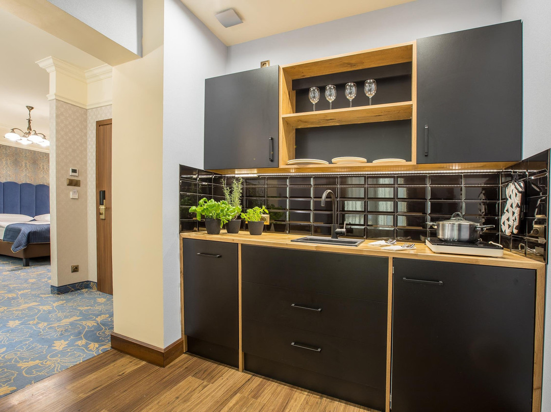 Gliwice酒店住宿-Hotel Diament Plaza Gliwice