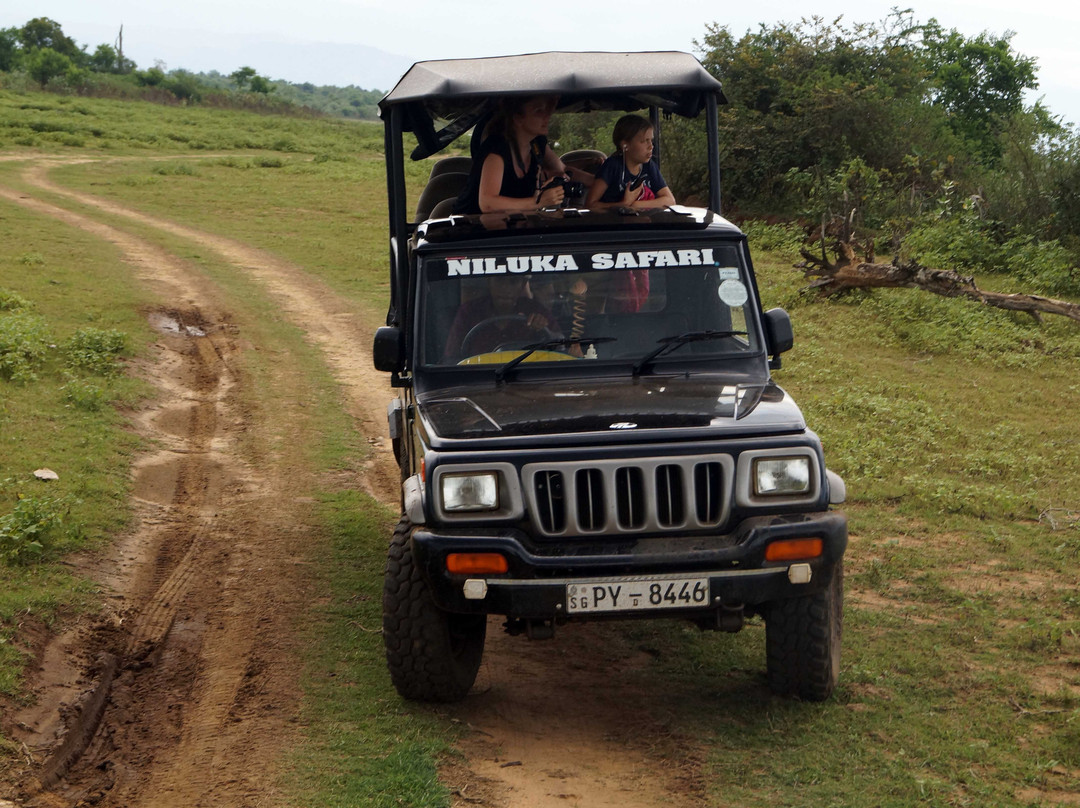 Niluka Safari景点图片