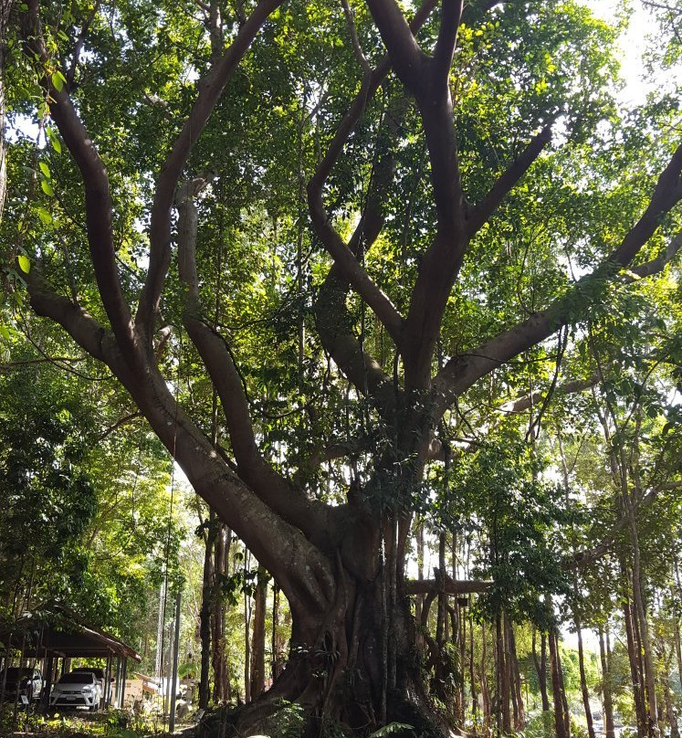 Khao Chamao Khao Wong National Park景点图片