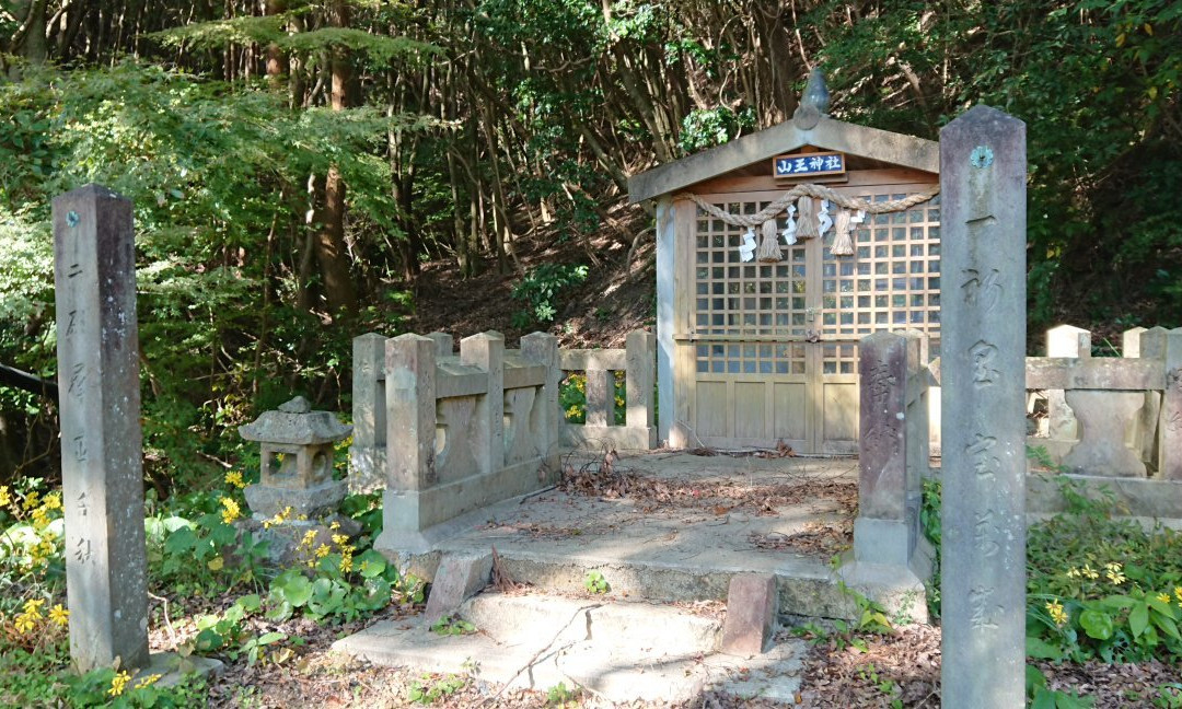 Sanno Shrine景点图片