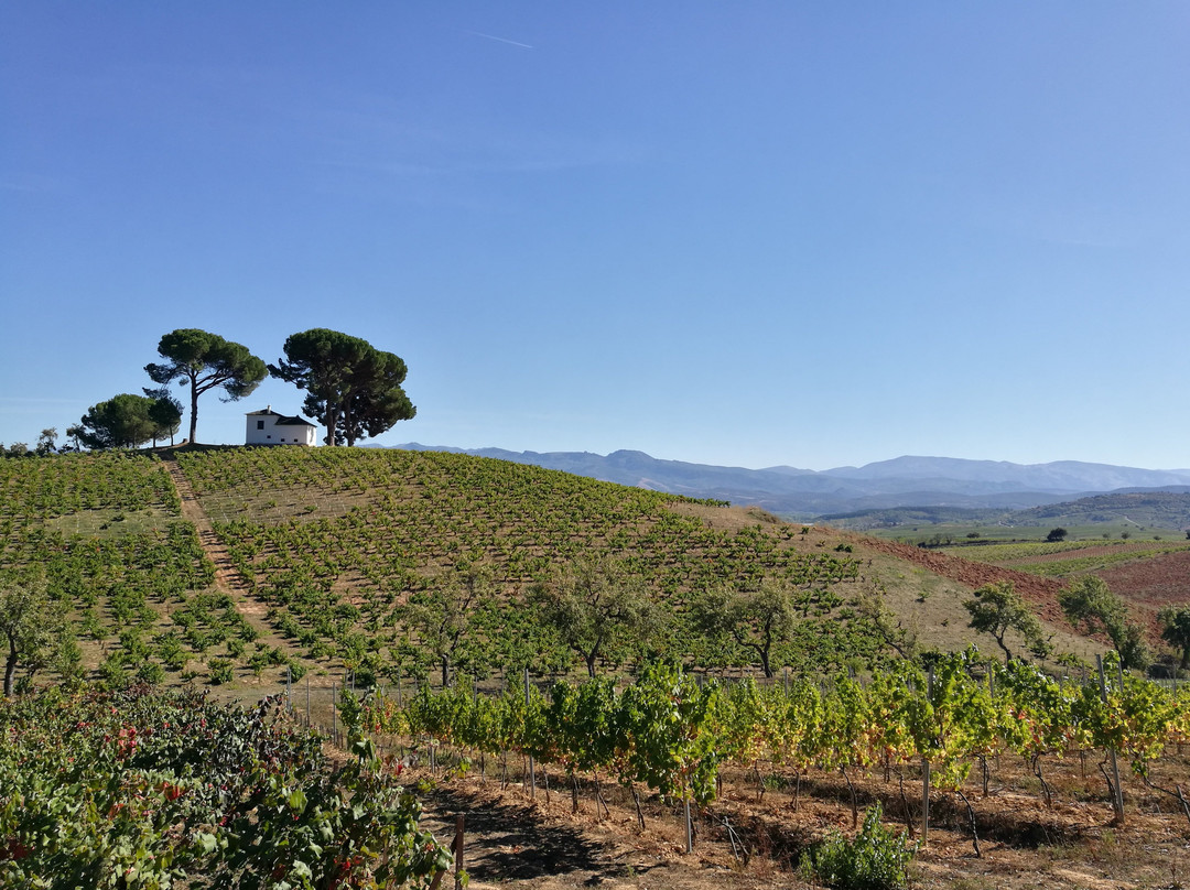 Vinas Del Bierzo-Camponaraya必去景点