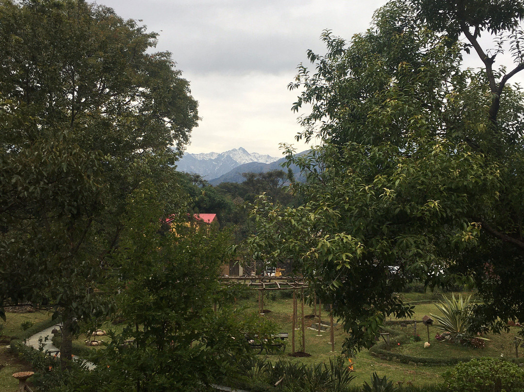 The Lodge at Wah, Palampur主图