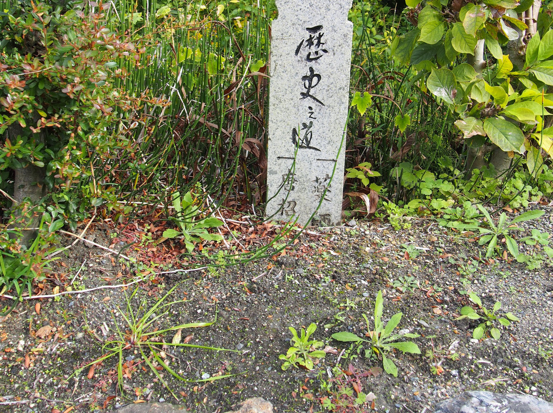 Nishinokyo District-奈良市必去景点