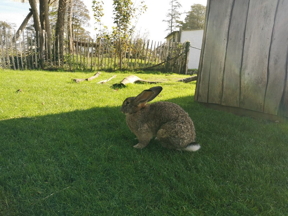 Manor Wildlife Park景点图片