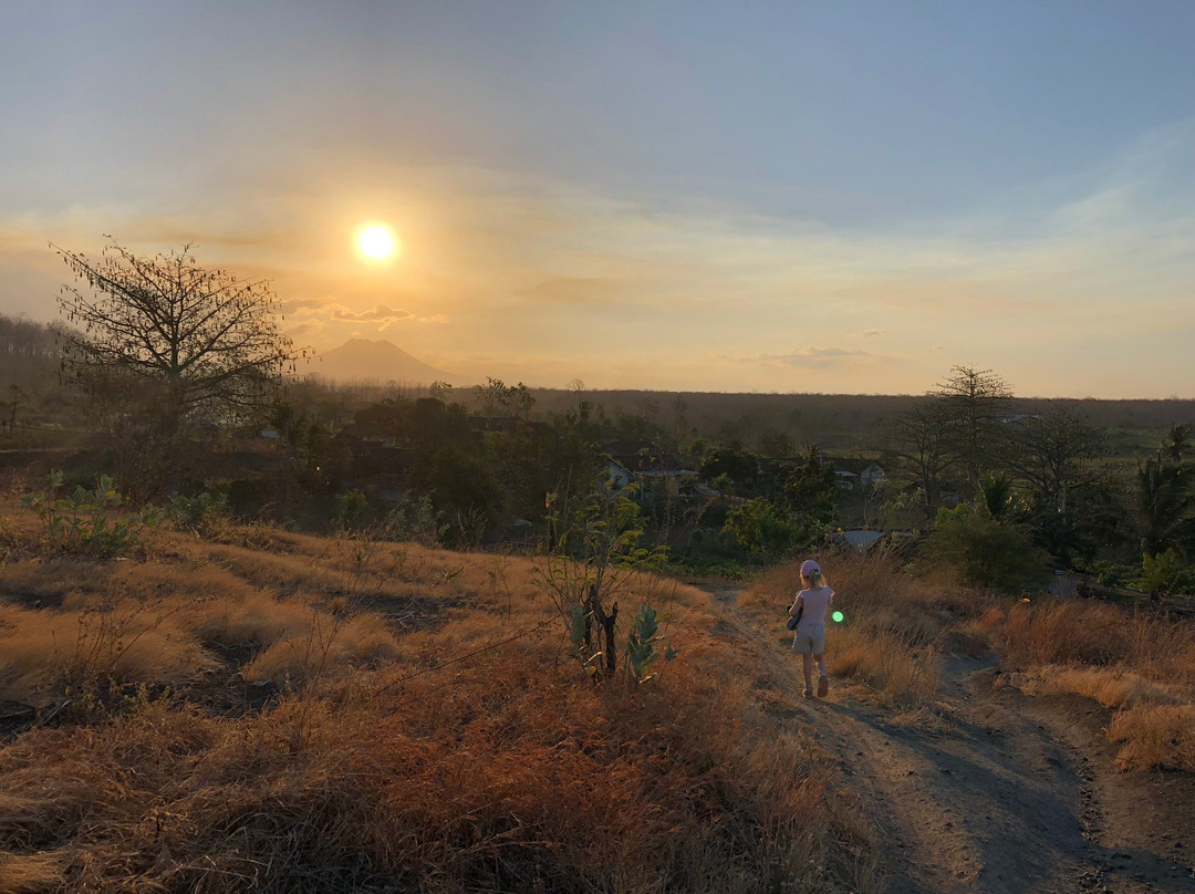 邦斯林微风酒店主图